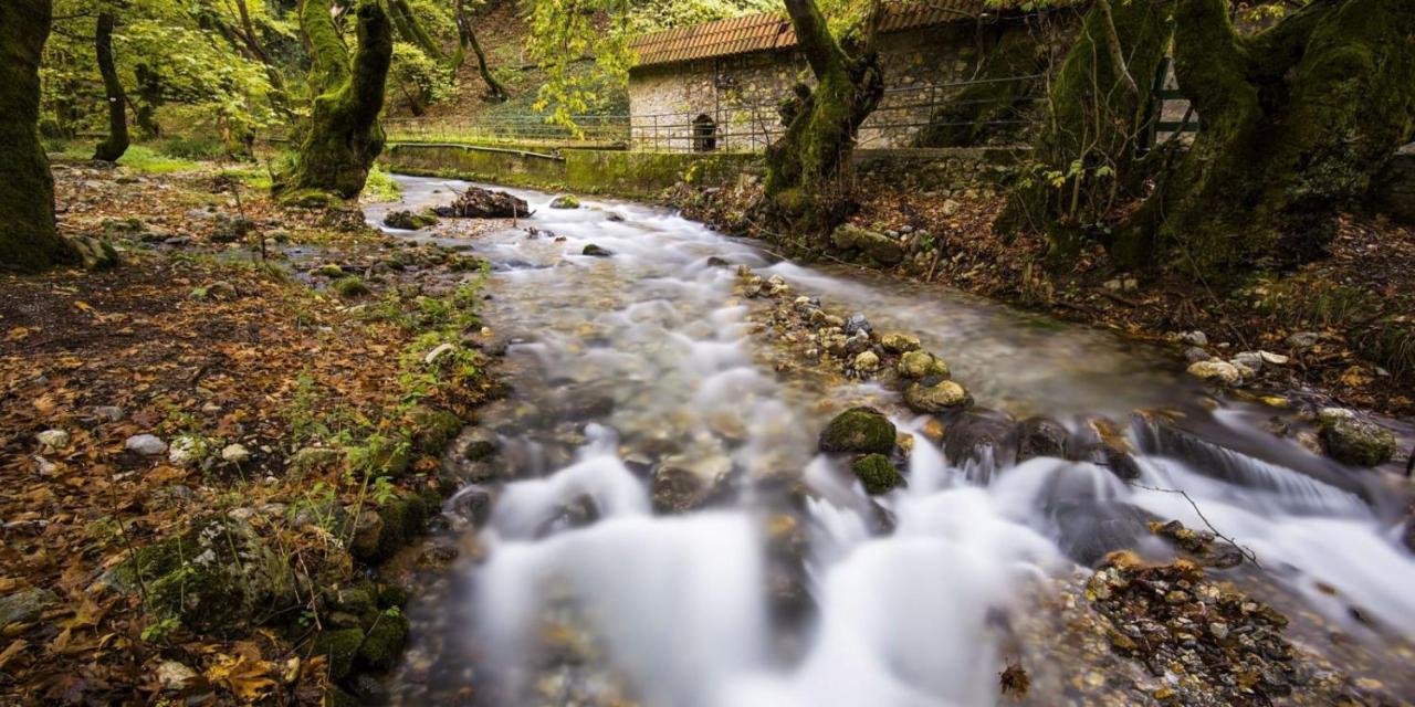 Meliti Guesthouse Акрата Екстер'єр фото